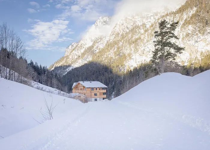 Franz Johann Appartements - Near Slopes - Reiteralm
