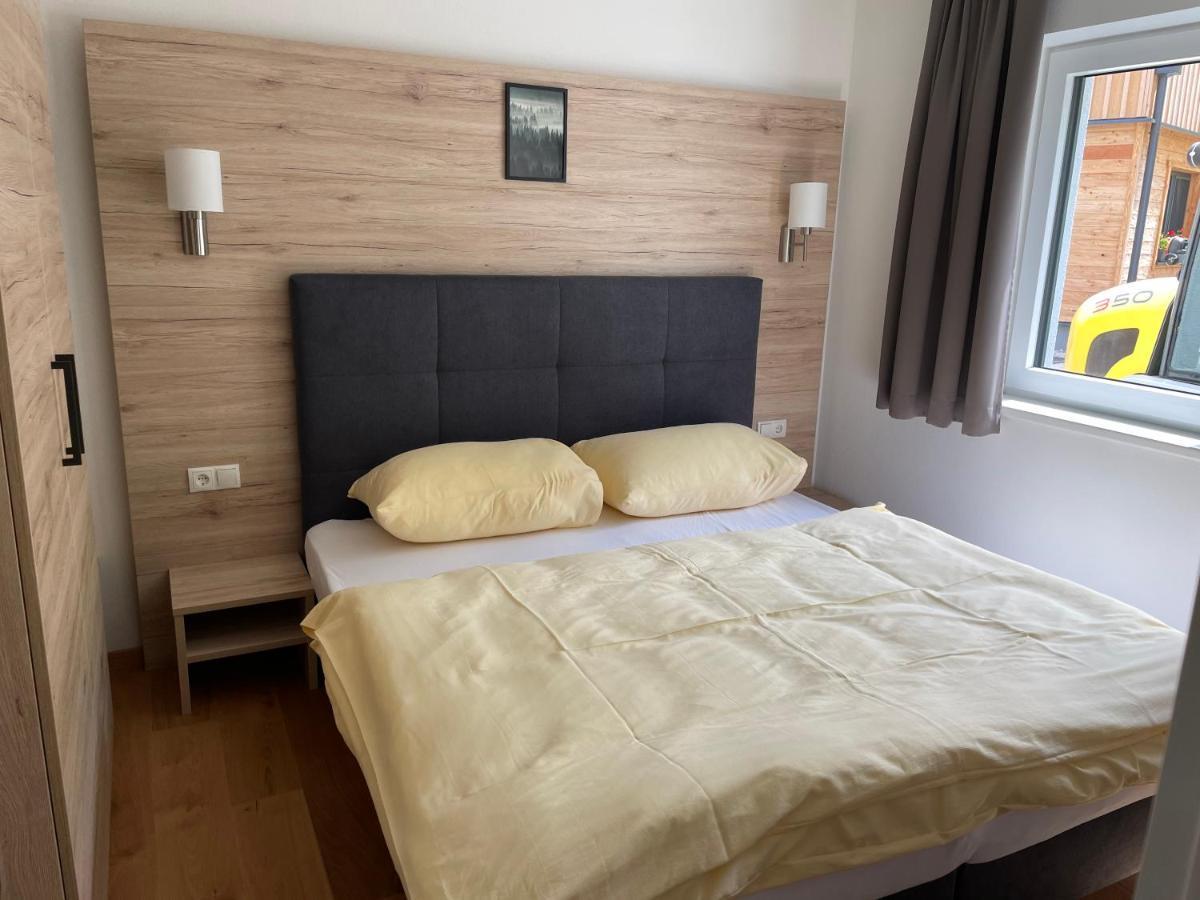 Apartment Franz Johann - Near Slopes - Reiteralm Schladming