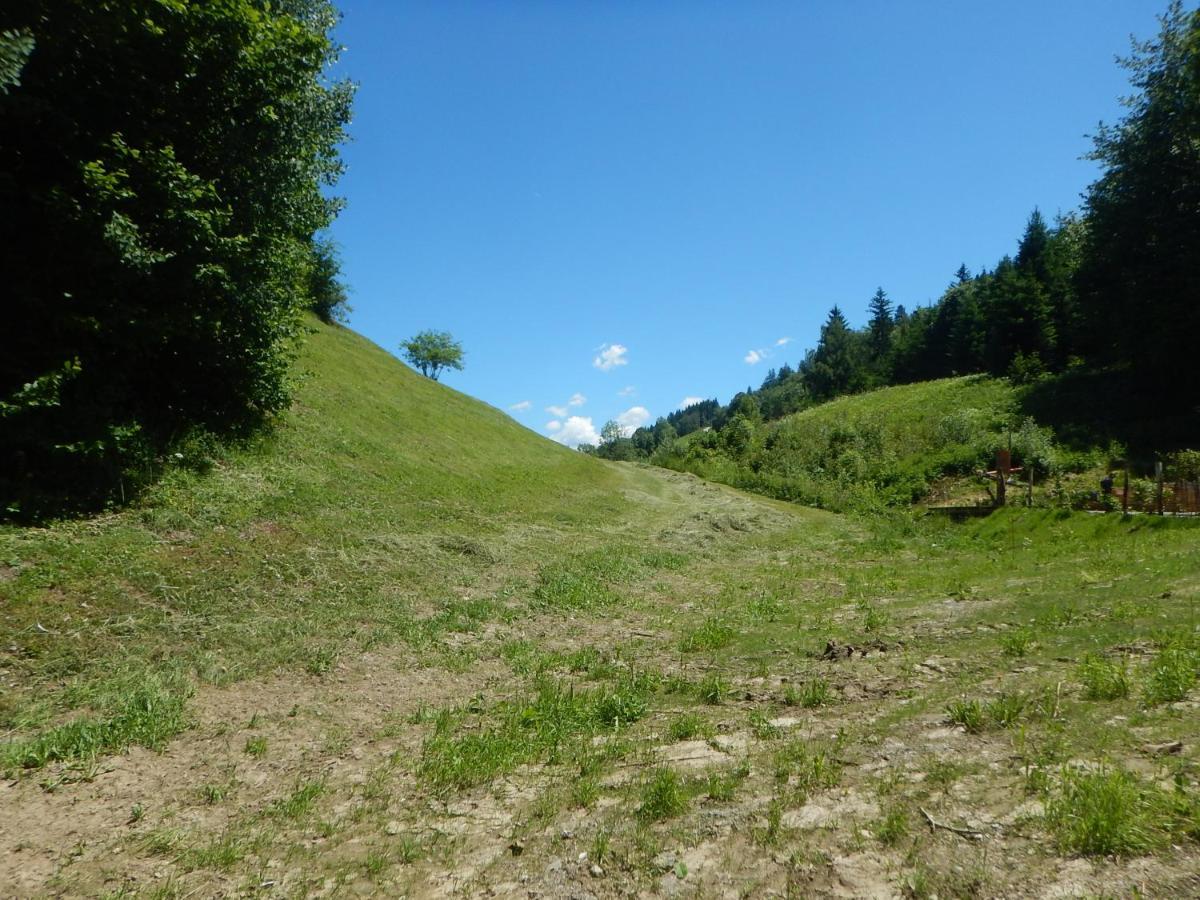 Apartment Franz Johann - Near Slopes - Reiteralm *