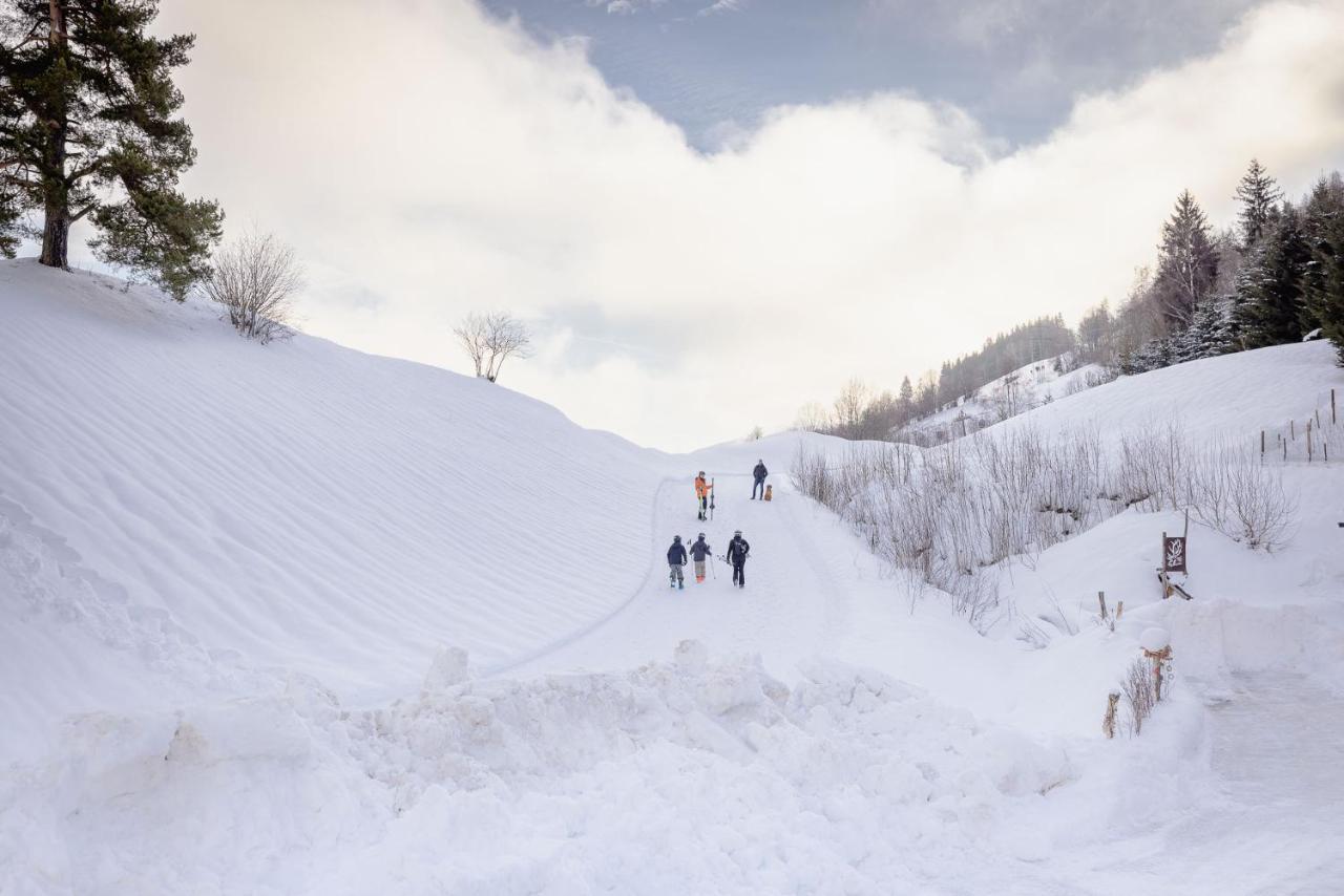 Apartamento Franz Johann - Near Slopes - Reiteralm
