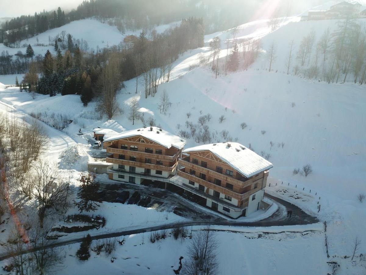 Apartment Franz Johann - Near Slopes - Reiteralm Schladming